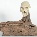 Skull-Hide-4