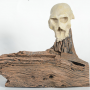 Skull-Hide-4