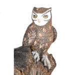 Eagle-Owl-2