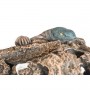 Leguane-Fountain-2
