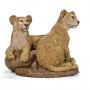 Lion-Cubs-2