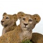 Lion-Cubs-3