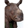 rhino-1