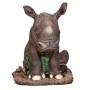 rhino-2
