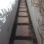 garden Renovations