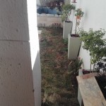 gardening